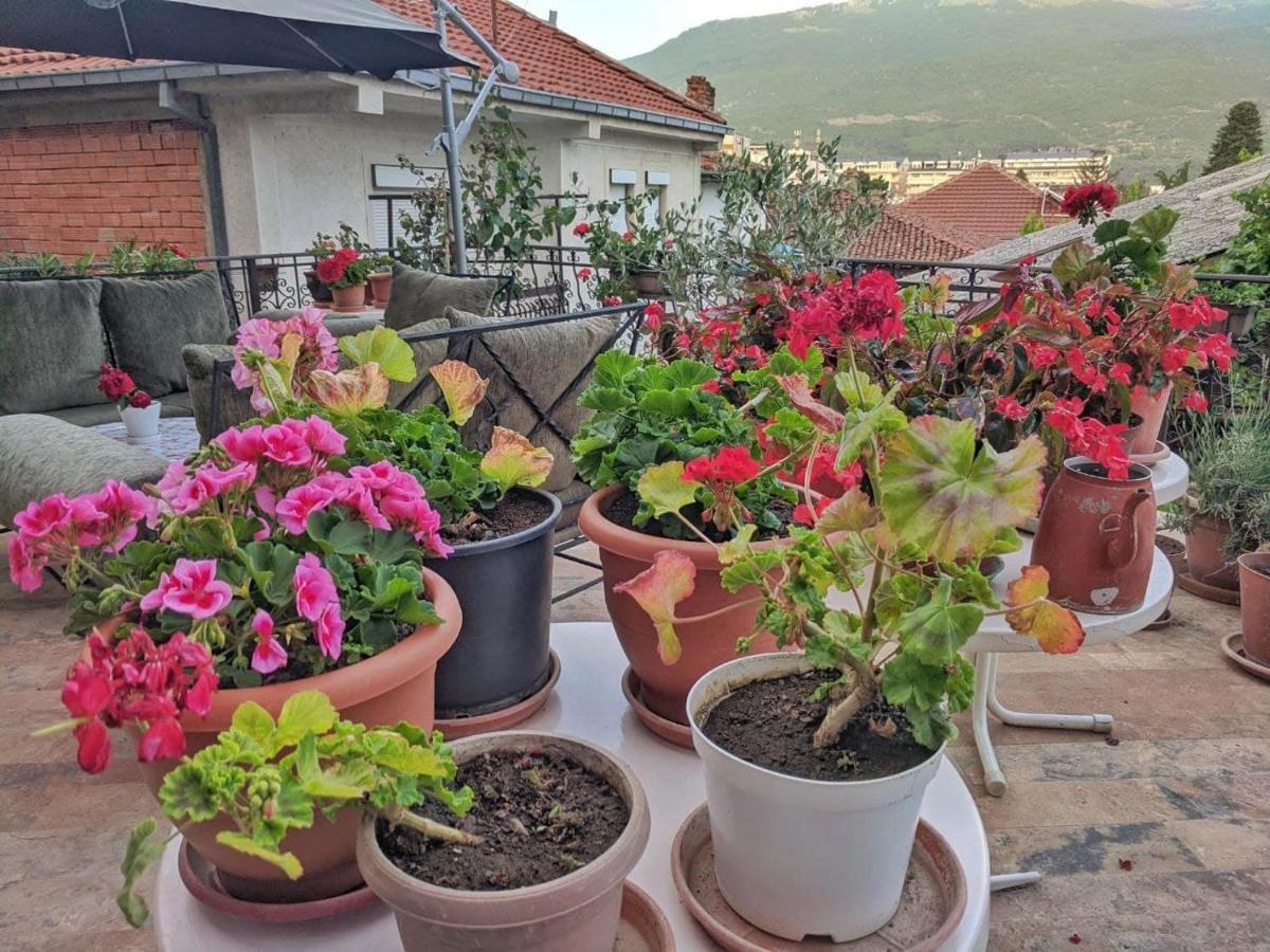 Apartments Evelyn Ohri Dış mekan fotoğraf