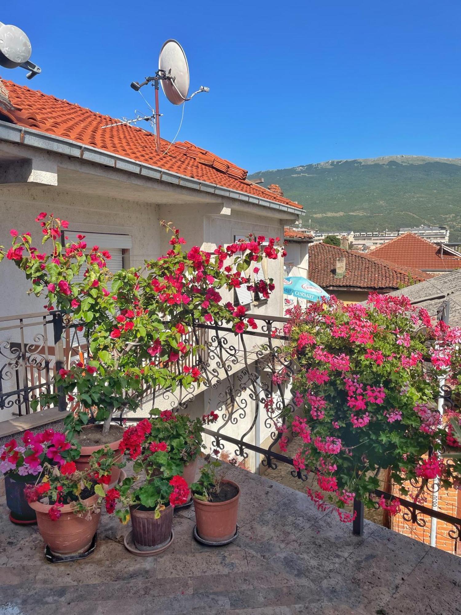 Apartments Evelyn Ohri Dış mekan fotoğraf