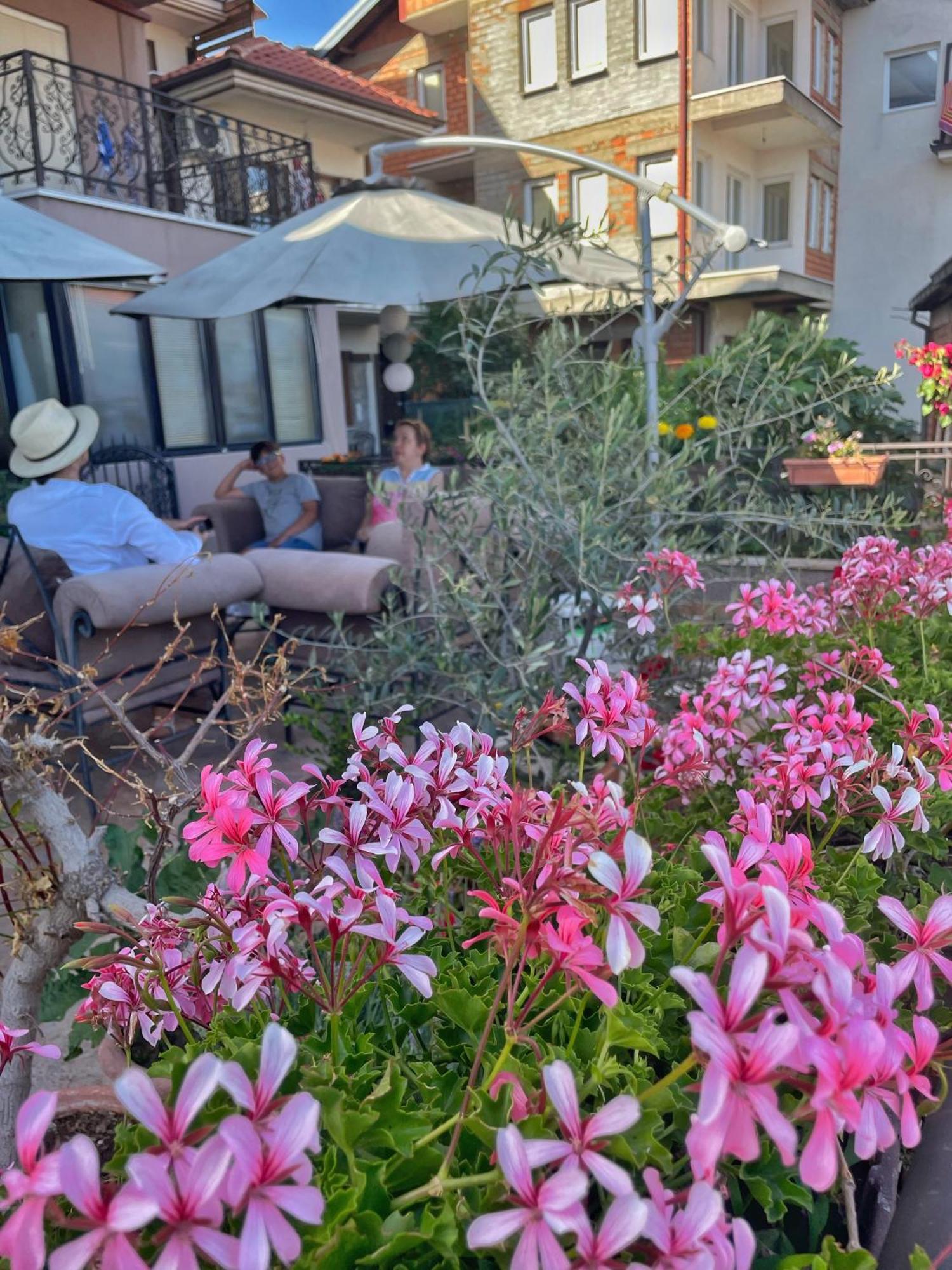 Apartments Evelyn Ohri Dış mekan fotoğraf